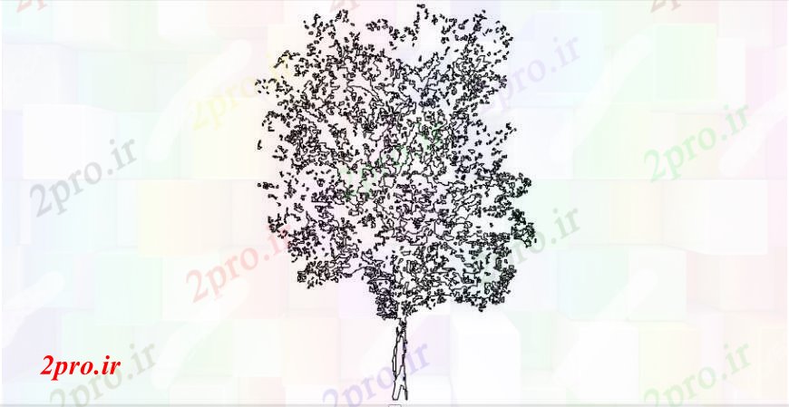 دانلود نقشه درختان و گیاهان  طراحی جزئیات از نمای جلو از درخت طولانی (کد101009)