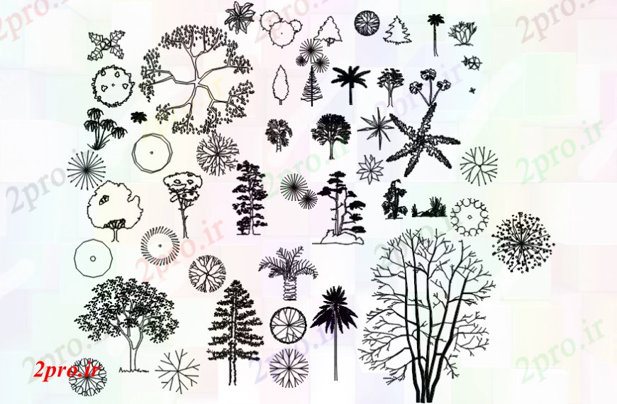 دانلود نقشه درختان و گیاهان درختان و گیاهان دو بعدی   مقابل (کد102754)