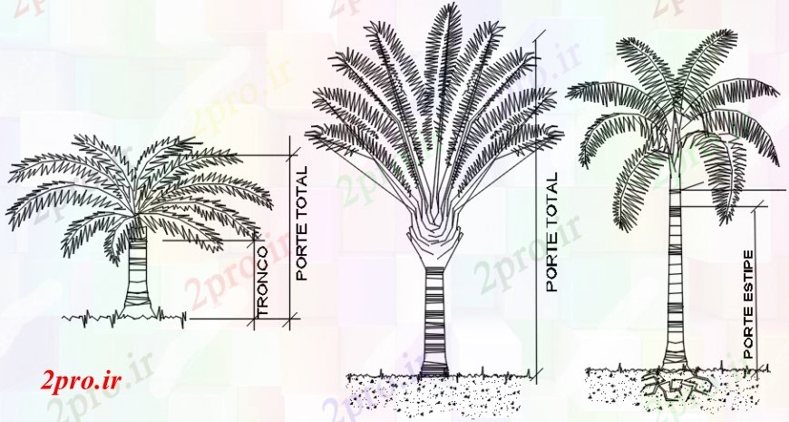 دانلود نقشه درختان و گیاهان درخت خرما بلوک نما چند طراحی جزئیات 81 در 87 متر (کد103767)