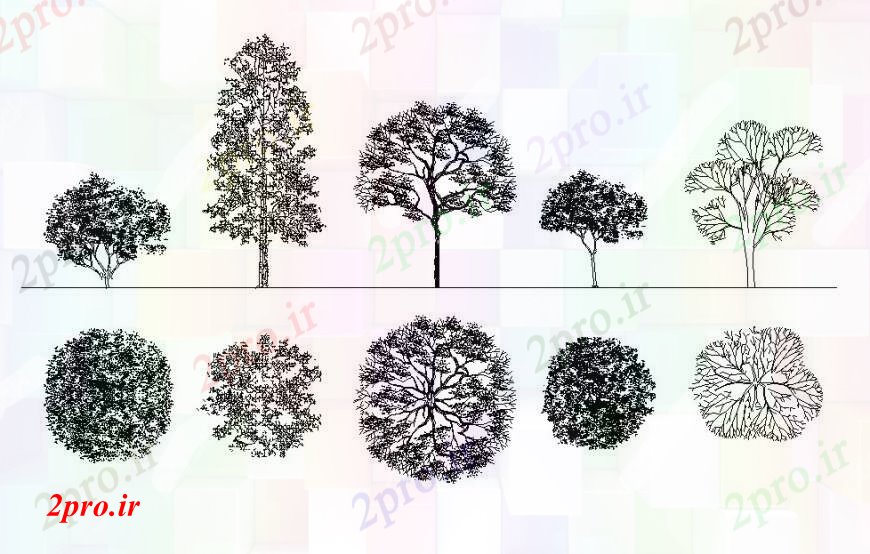 دانلود نقشه درختان و گیاهان درخت های متعدد و گیاه دو بعدی  نما بلوک طراحی جزئیات  (کد107554)