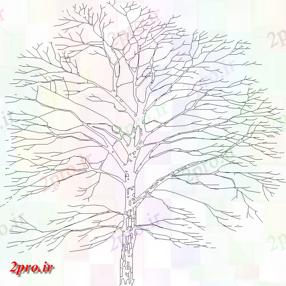 دانلود نقشه درختان و گیاهان  طراحی جزئیات برگ های بلند و ریشه دار (کد108424)
