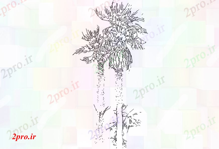 دانلود نقشه درختان و گیاهان دو نارگیل طرحی از بلوک نما درخت جزئیات  (کد110569)