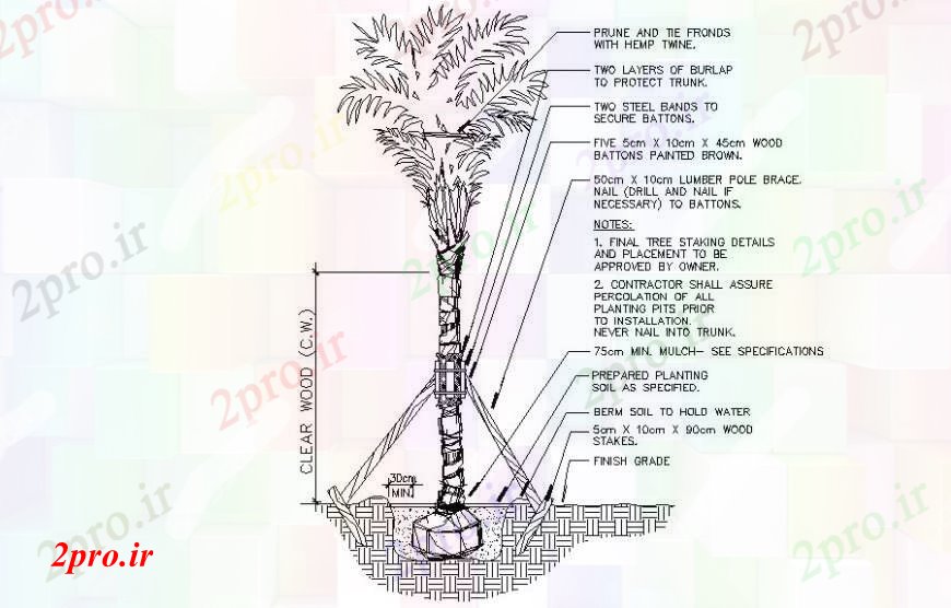 دانلود نقشه درختان و گیاهان طراحی جزئیات درختان  محوطه سازی دو بعدی   (کد111787)