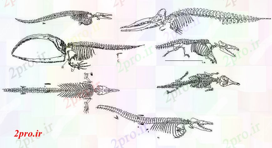 دانلود نقشه بلوک حیوانات فسیل های دایناسورها بلوک های حیوانات طراحی  (کد113698)