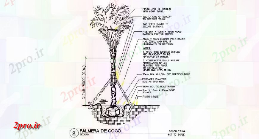 دانلود نقشه درختان و گیاهان محوطه سازی درختان واحد جزئیات  دو بعدی   نما اتوکد (کد126757)