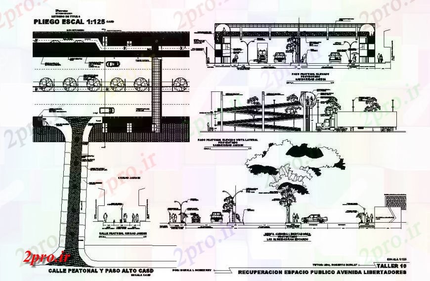 دانلود نقشه فرودگاه Peatonal پل اتوکد پیوست پل بر روی ویال از جزئیات  فرودگاه  (کد130276)