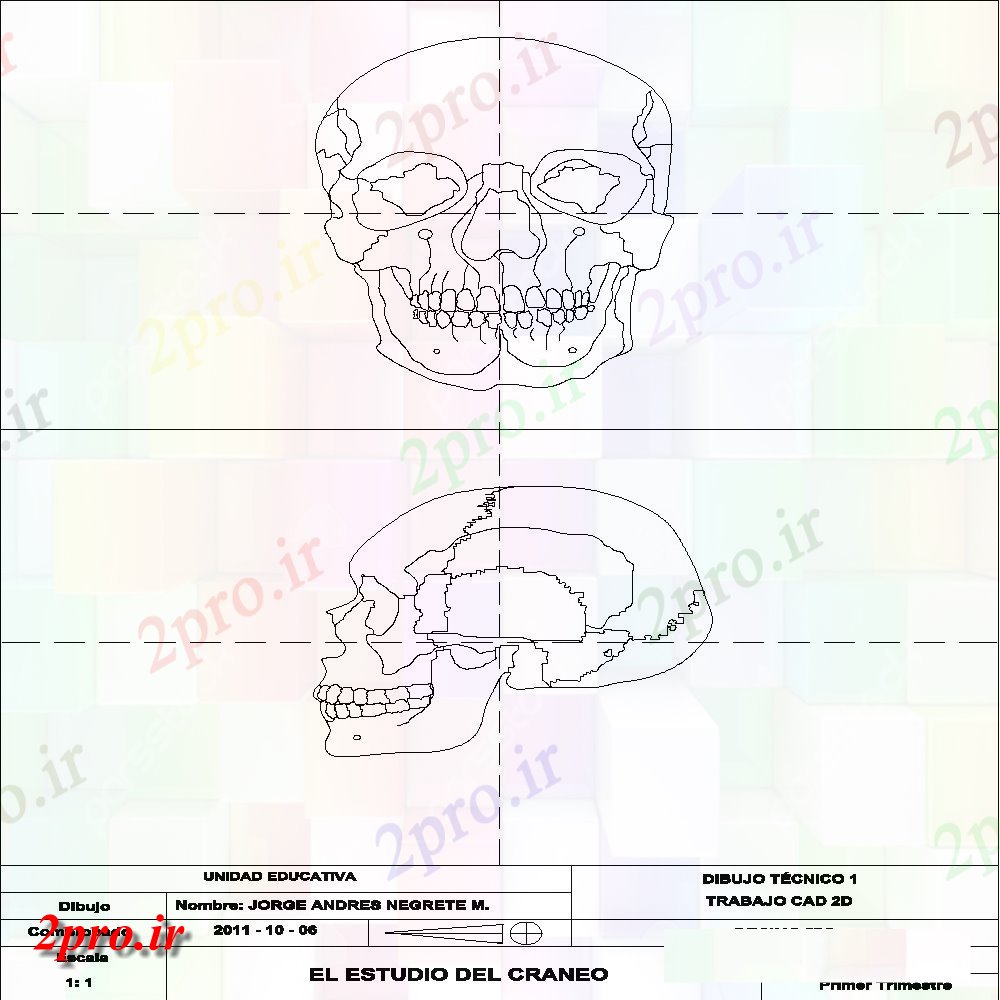 دانلود نقشه بلوک افراد اسکلت، جمجمه رسم نما  (کد140708)