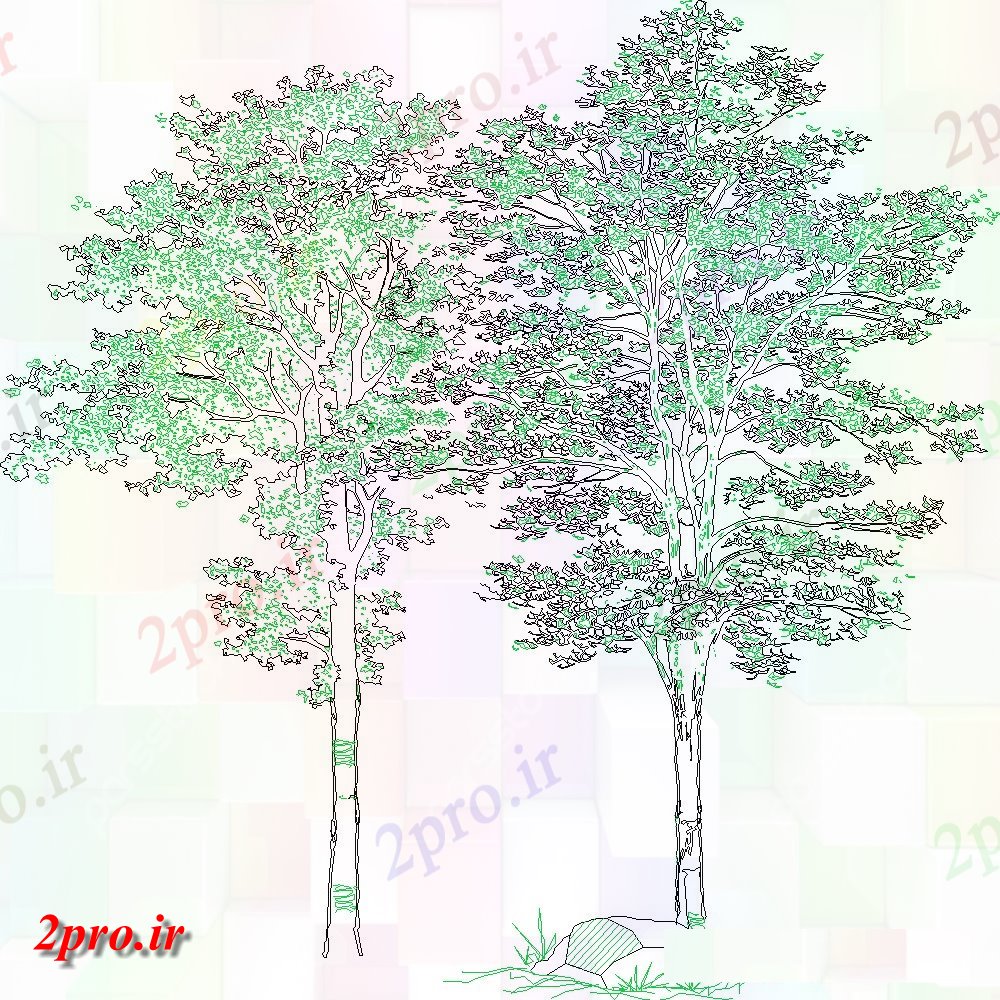 دانلود نقشه درختان و گیاهان طراحی درخت با نمایی از منطقه و  از نما (کد145809)
