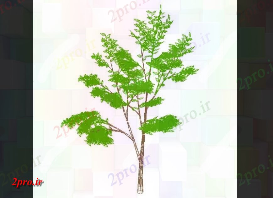 دانلود نقشه درختان و گیاهان طرحی یک جزئیات درخت (کد146041)