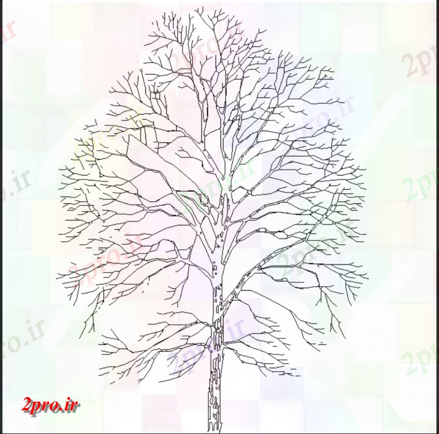 دانلود نقشه درختان و گیاهان طرحی درخت بلند با جزئیات (کد146117)