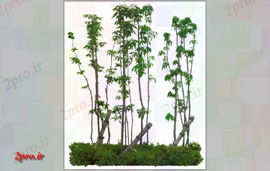 دانلود تری دی  پویا درخت و گیاهان بلوک ارتفاع D فایل PSD طراحی کد  (کد24503)