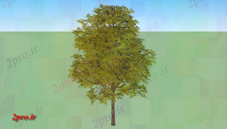 دانلود تری دی  مدل D از درخت در SKP در فایل طرح بالا. کد  (کد24686)