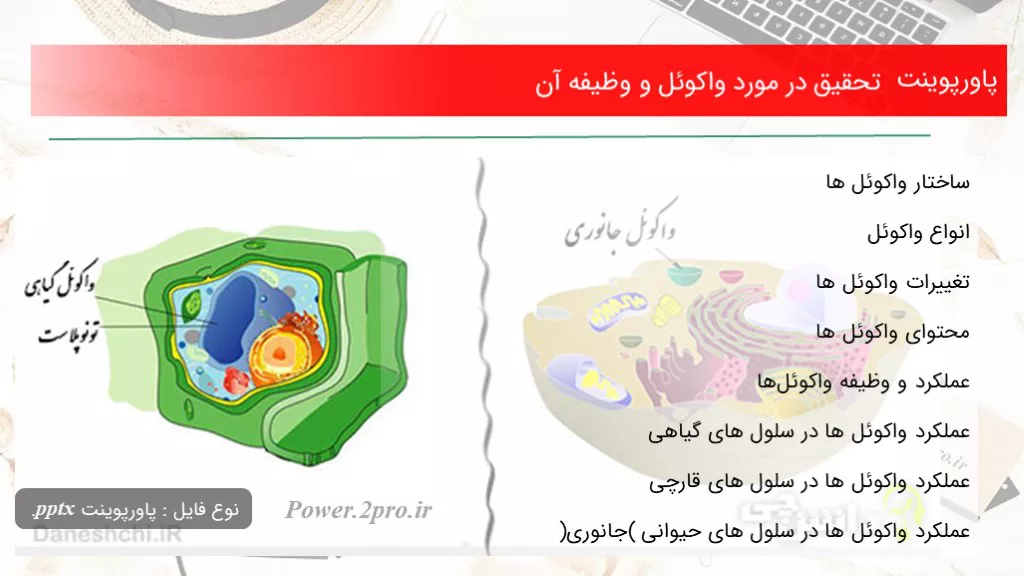 دانلود پاورپوینت تحقیق در مورد واکوئل و وظیفه آن - کد100209