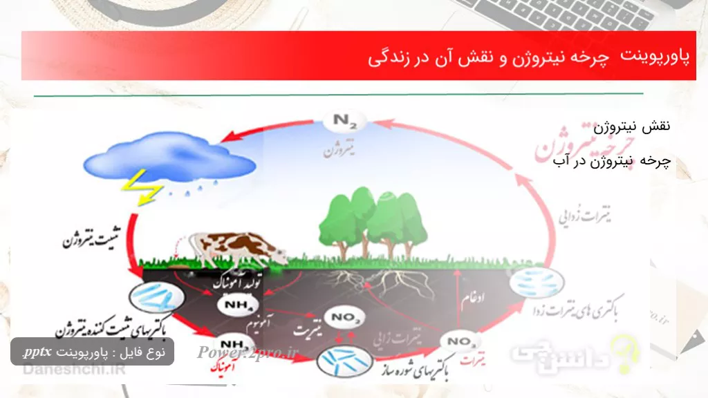 دانلود پاورپوینت چرخه نیتروژن و نقش آن در زندگی - کد100213