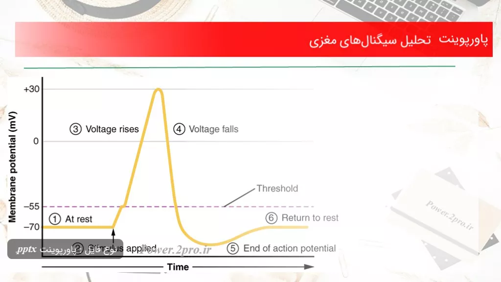 دانلود پاورپوینت تحلیل سیگنال‌های مغزی - کد100525