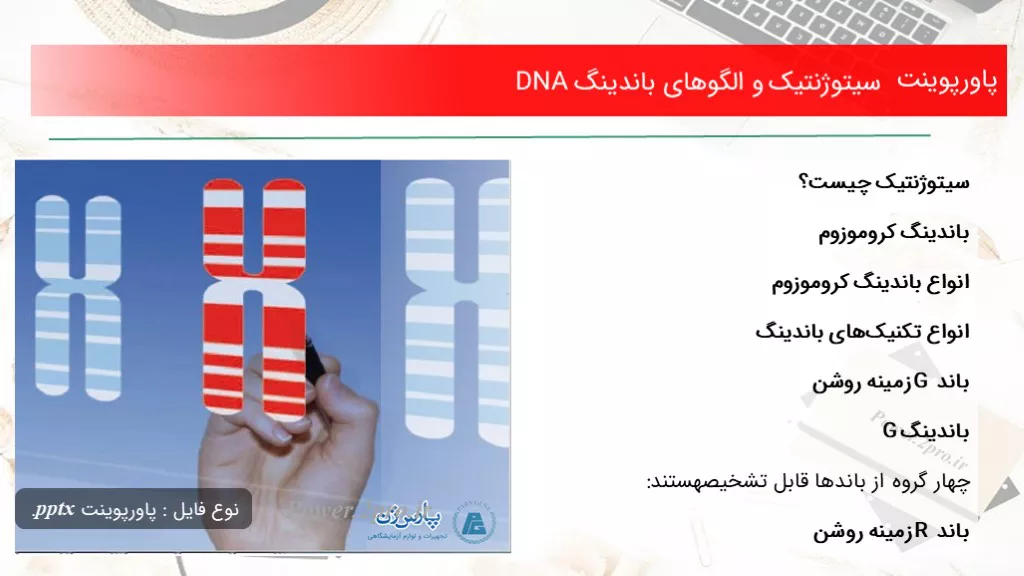 دانلود پاورپوینت سیتوژنتیک و الگوهای باندینگ DNA - کد101436