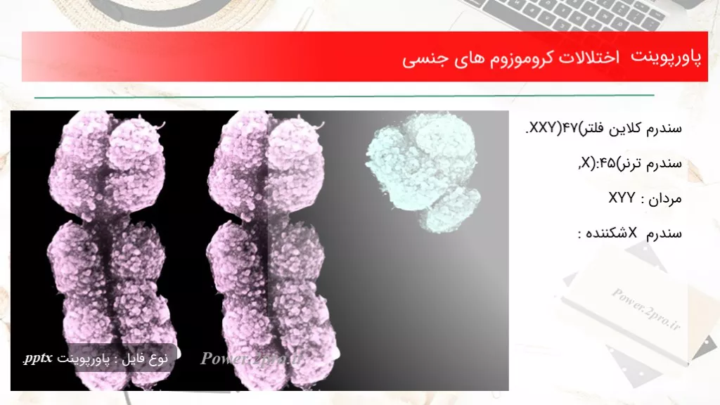 دانلود پاورپوینت اختلالات کروموزوم های جنسی - کد101480