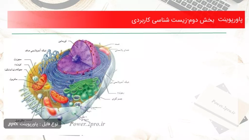 دانلود پاورپوینت بخش دوم-زیست شناسی کاربردی - کد102323