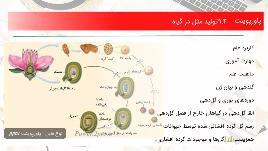 دانلود پاورپوینت ۹.۴ تولید مثل در گیاه - کد102336