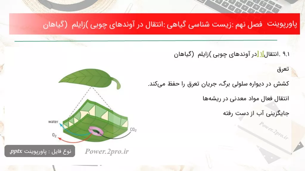 دانلود پاورپوینت فصل نهم: زیست شناسی گیاهی: انتقال در آوند‌های چوبی (زایلم ) گیاهان - کد102338