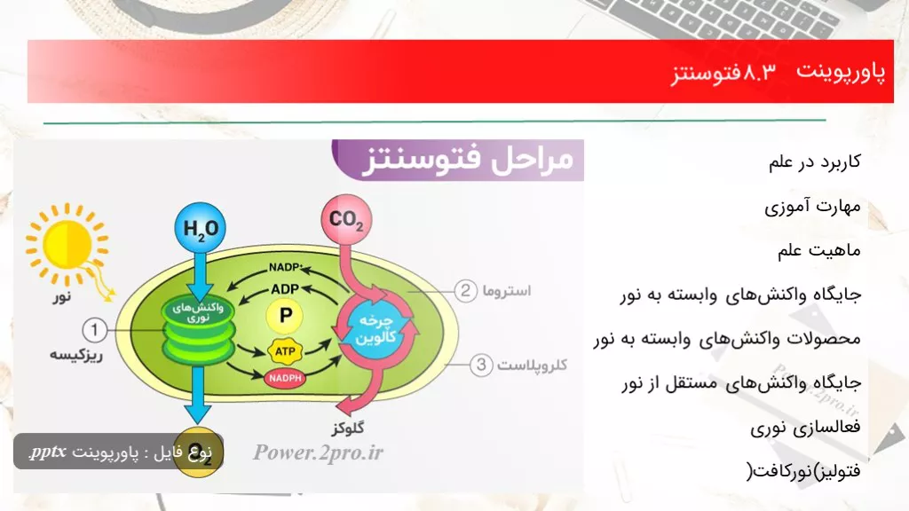 دانلود پاورپوینت 8.3 فتوسنتز - کد102339