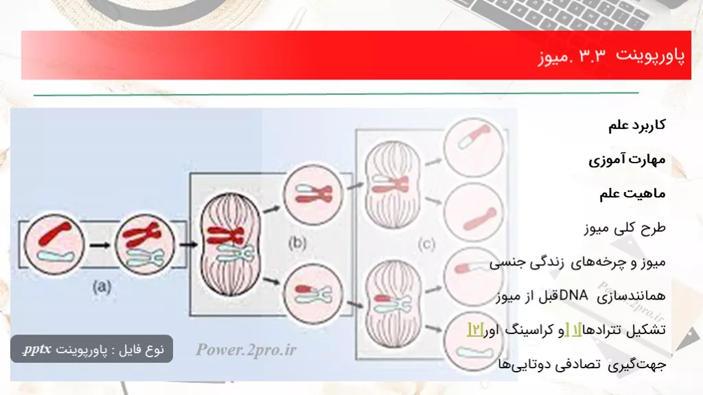 دانلود پاورپوینت 3.3. میوز - کد102347