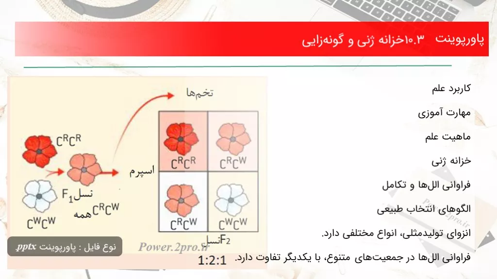 دانلود پاورپوینت 10.3 خزانه ژنی و گونه‌زایی - کد102357