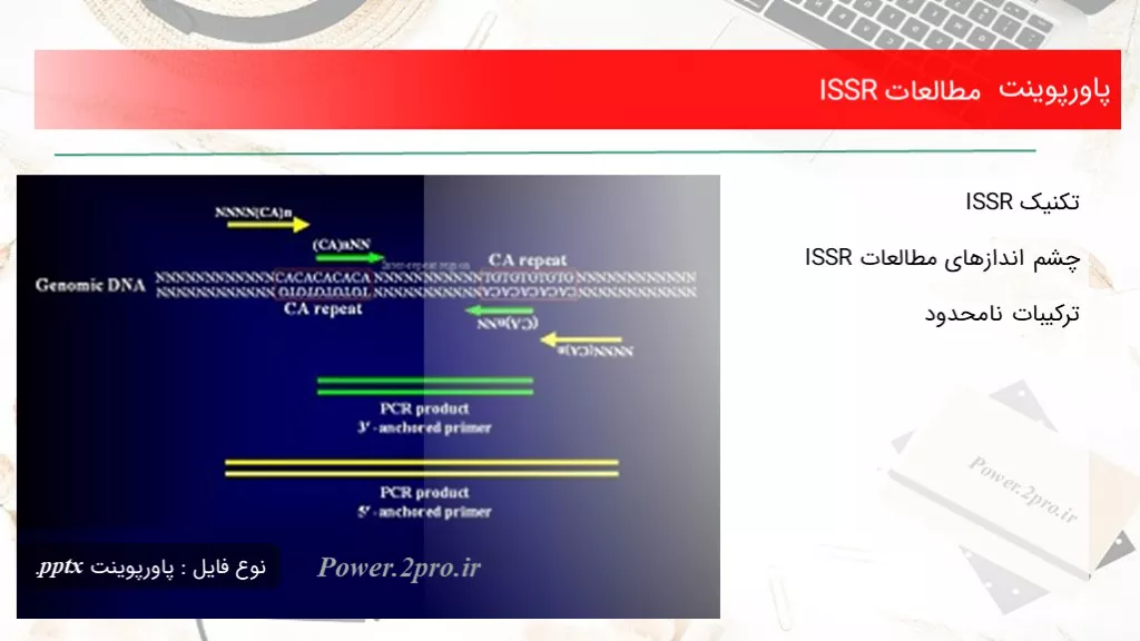 دانلود پاورپوینت مطالعات ISSR - کد103506