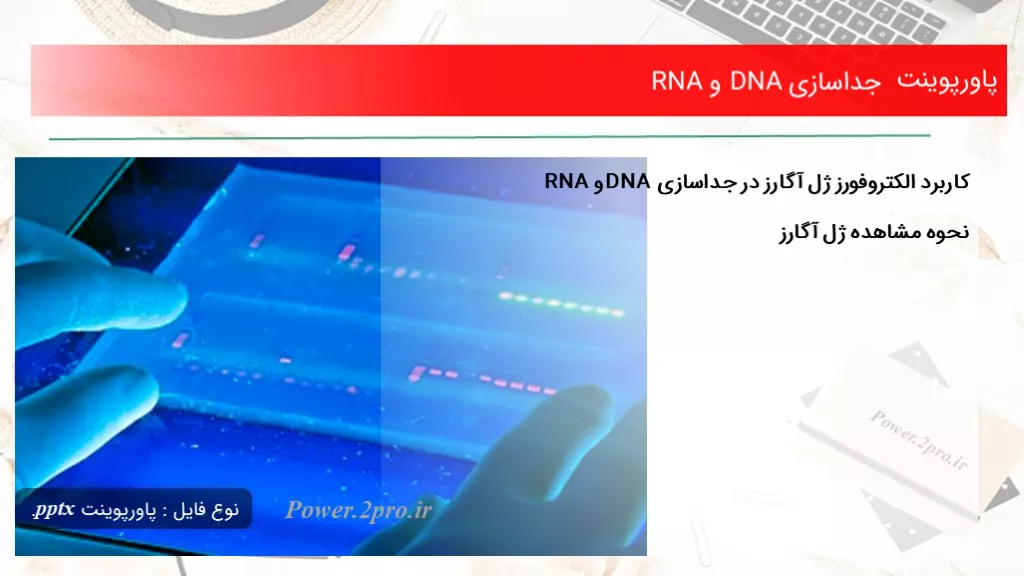 دانلود پاورپوینت جداسازی ‏DNA‏ و ‏RNA‏ - کد103510