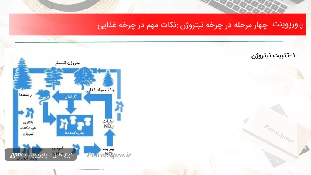 دانلود پاورپوینت چهار مرحله در چرخه نیتروژن: نکات مهم در چرخه غذایی - کد104092