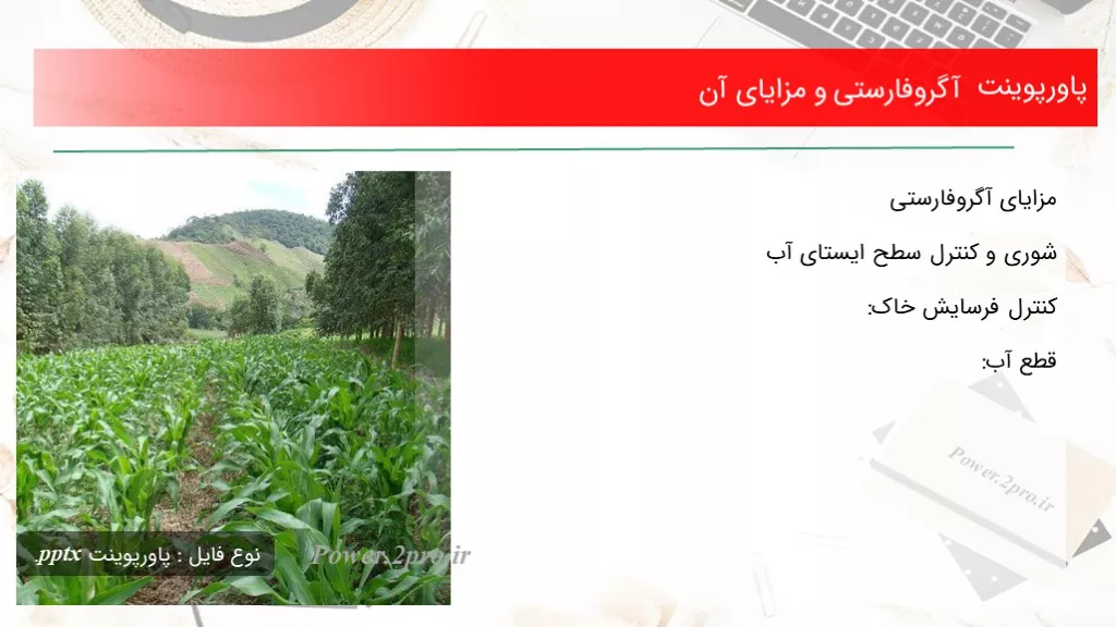 دانلود پاورپوینت آگروفارستی و مزایای آن - کد104200