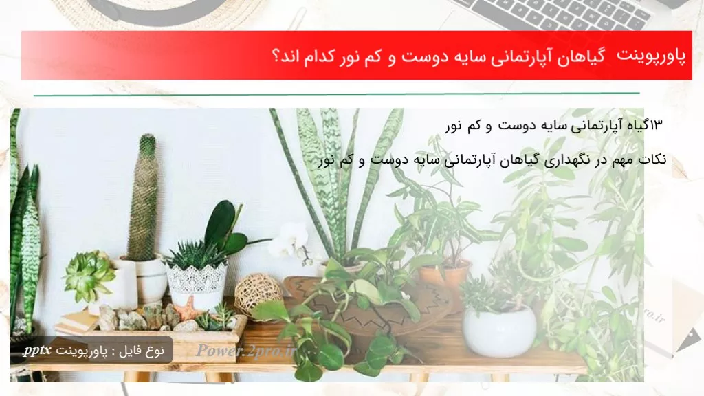 گیاهان آپارتمانی سایه دوست و کم نور کدام اند؟