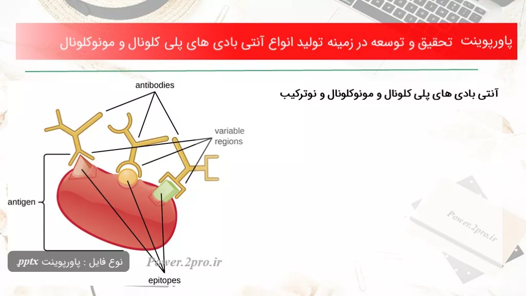 تحقیق و توسعه در زمینه تولید انواع آنتی بادی های پلی کلونال و مونوکلونال