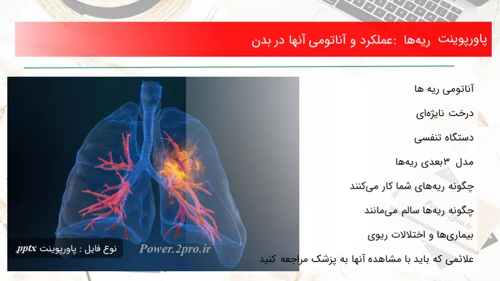 دانلود پاورپوینت ریه‌ها : عملکرد و آناتومی آنها در بدن - کد109438