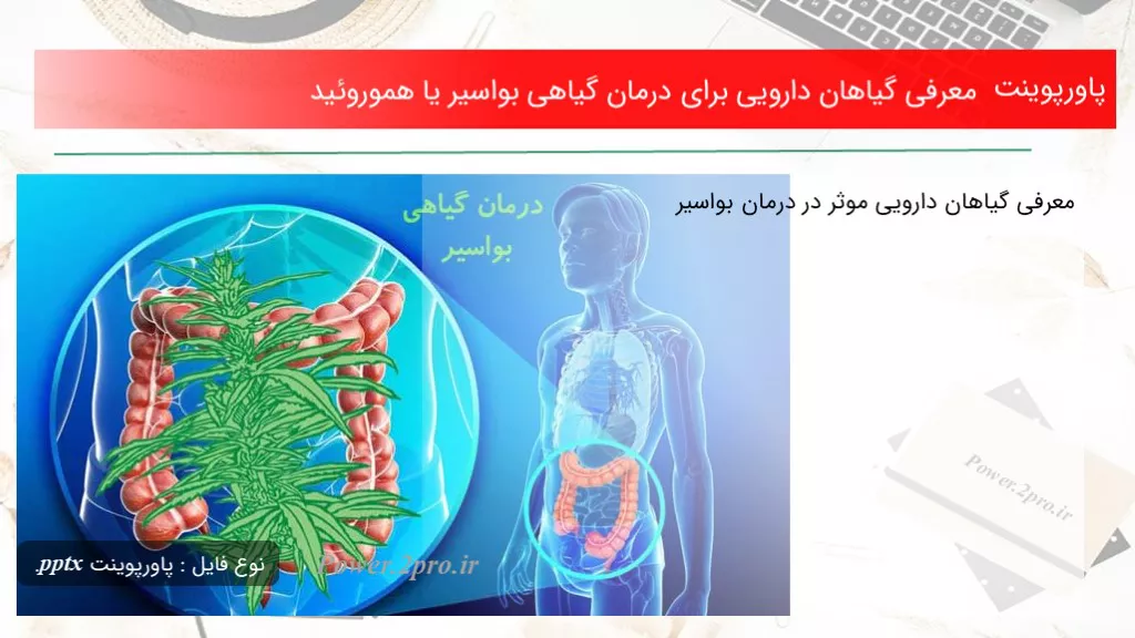 دانلود پاورپوینت معرفی گیاهان دارویی به منظور درمان گیاهی بواسیر یا هموروئید - کد109906