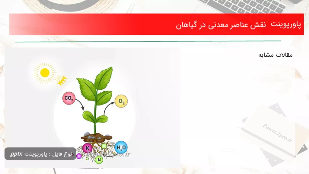 نقش عناصر معدنی در گیاهان