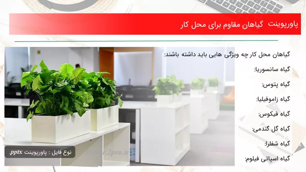 گیاهان مقاوم برای محل کار