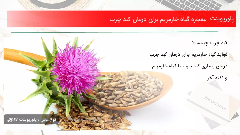 معجزه گیاه خارمریم برای درمان کبد چرب