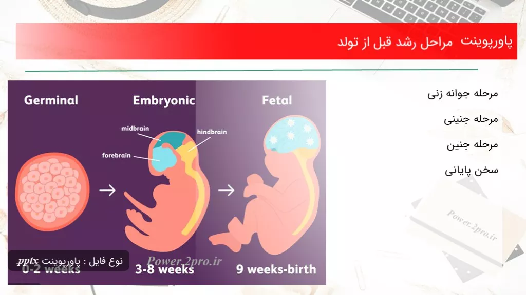 دانلود پاورپوینت مراحل رشد قبل از تولد  - کد112532