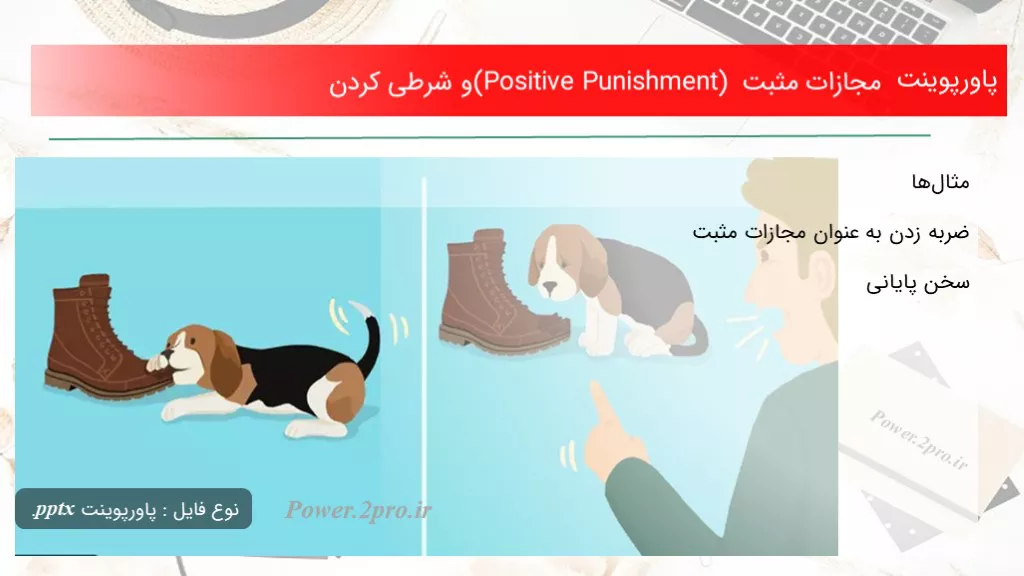 دانلود پاورپوینت مجازات مثبت (Positive Punishment) و شرطی کردن  - کد112604