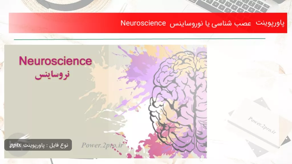 عصب شناسی یا نوروساینس  Neuroscience