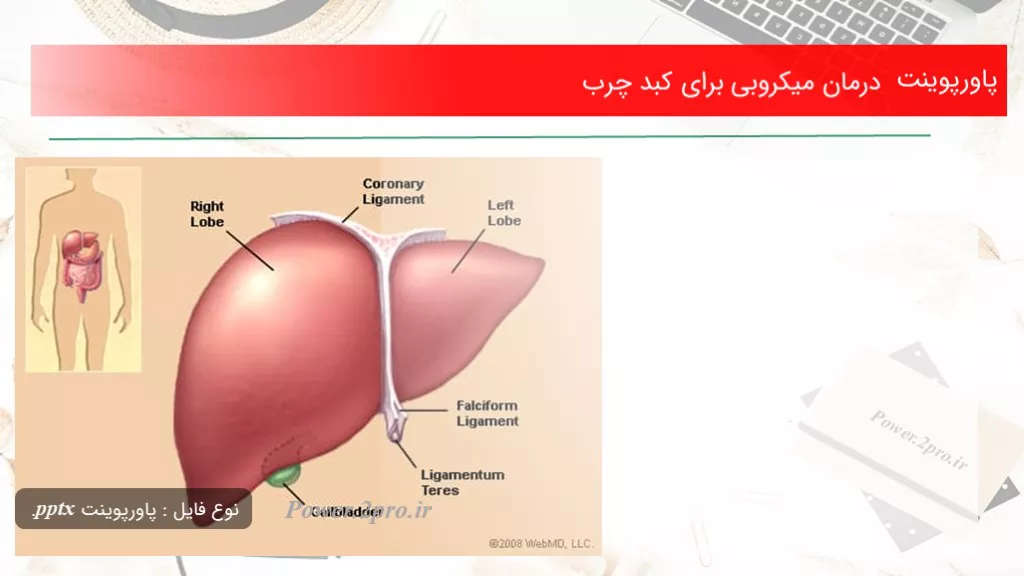 دانلود پاورپوینت درمان میکروبی  به منظور کبد چرب - کد113602