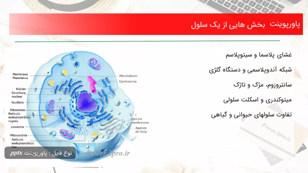 بخش هایی از یک سلول