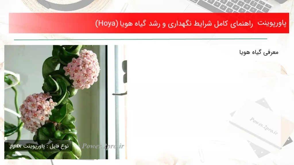 دانلود پاورپوینت راهنمای کامل شرایط نگهداری و رشد گیاه هویا (Hoya) - کد115140