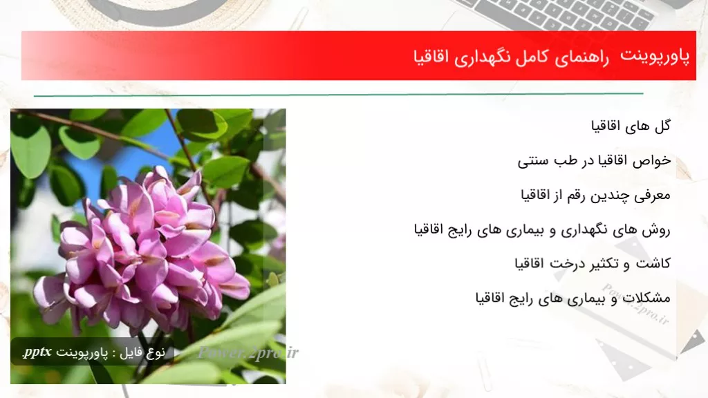 راهنمای کامل نگهداری اقاقیا