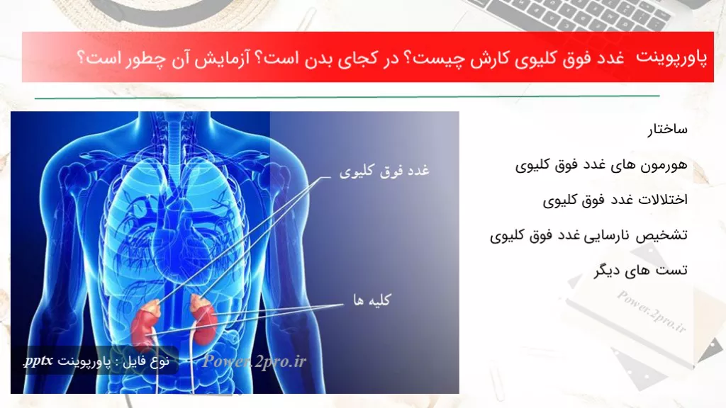 دانلود پاورپوینت غدد فوق کلیوی کارش چه چیزی است ؟ در کجای بدن است؟ آزمایش آن چگونه است؟ - کد116368