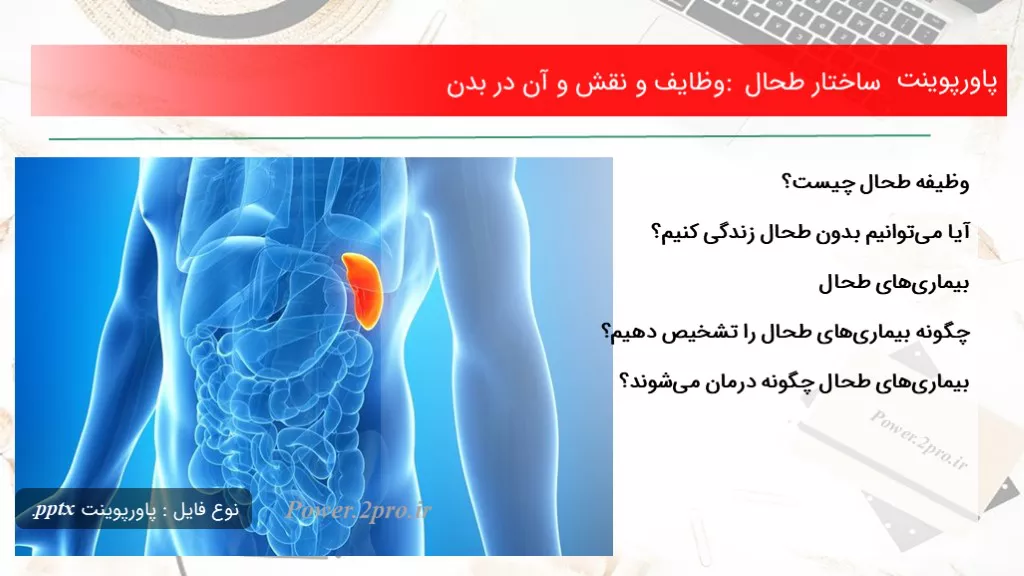 دانلود پاورپوینت ساختار طحال : وظایف و نقش و آن در بدن - کد117141