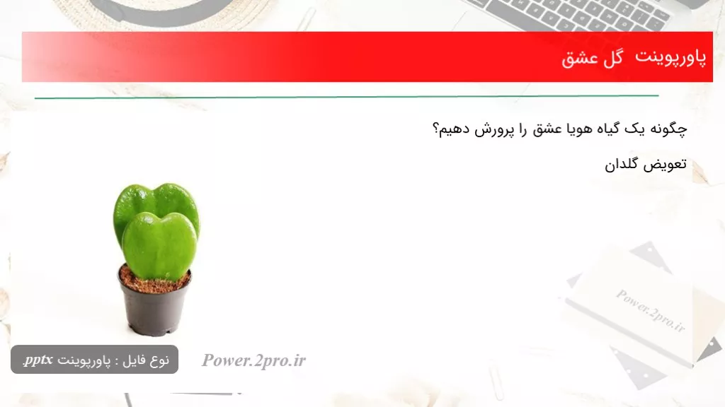 دانلود پاورپوینت گل عشق - کد117459