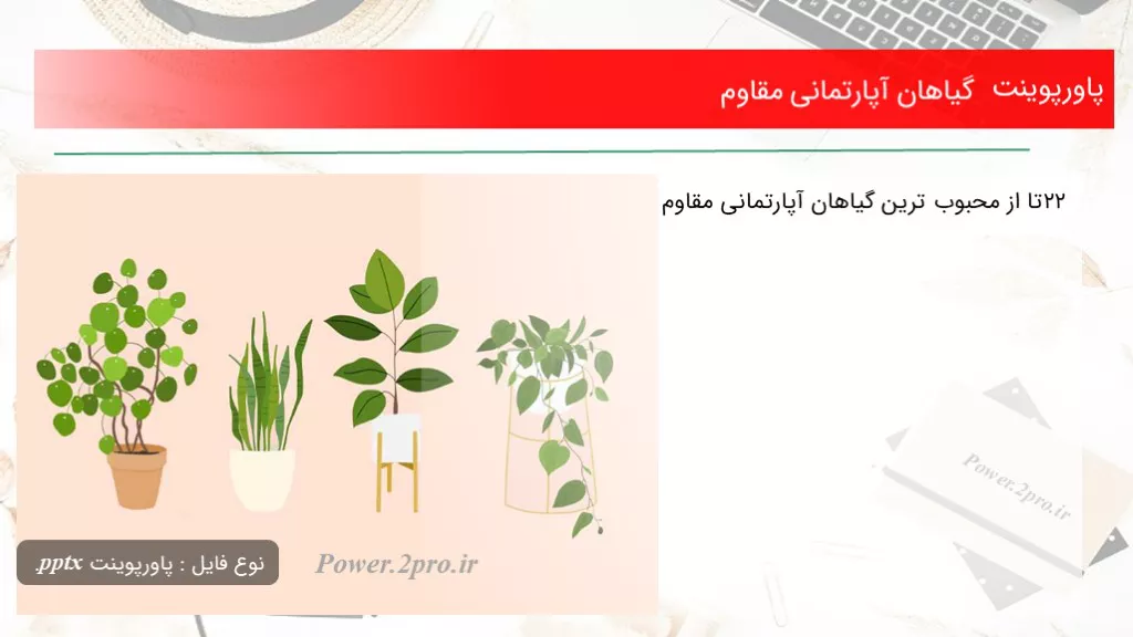 دانلود پاورپوینت گیاهان آپارتمانی مقاوم - کد117466