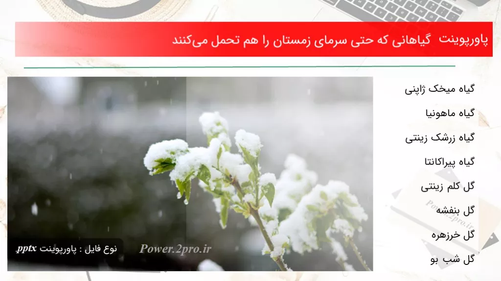 دانلود پاورپوینت گیاهانی که حتی سرمای زمستان را هم تحمل می‌کنند - کد117469